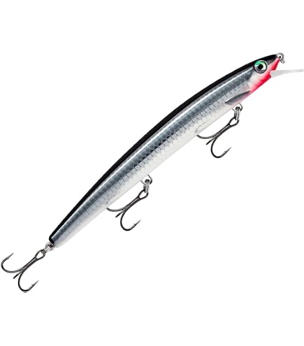 Amazon.co.jp: ラパラ(Rapala) マックスラップ 13cm #AYUL ライブアユ