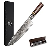 FANTECK 20cm Professional Damascus Chef Knife with Acrylic Rim High Carbon 67 Layers VG-10 Damascus