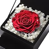TEATSIGHT プリザーブドフラワー フラワーボックス 引き出し付き バラ直径9ｃｍ以上 　( バラ レッド ）
