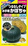 タキイ種苗 おいしさセレクト つるなしタイプ お手軽かぼちゃ つるなしやっこ