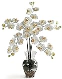 Nearly Natural 1106-CR Phalaenopsis Liquid Illusion Silk Flower Arrangement, Cream [並行輸入品]