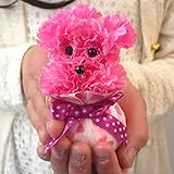 母の日 カーネーションプードル カーネーションで作ったプードルが可愛い 母の日/母の日 カーネーション/母の日 プレゼント/母の日 2016/母の日 花/カーネーション 造花/カーネーション (母の日