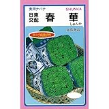 ナバナ 種 ナバナCR春華 小袋（約６ｍｌ）