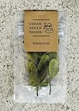 URBAN GREEN MAKERS Leaf　リーフ　UGMカスタムパーツ (EVERGREEN OAK)