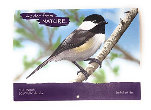 自然からアドバイス12?