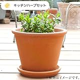 ハーブ栽培セット （ ローズマリー ＆ オレガノ ）【 お料理 用】