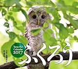 カレンダー2017 ふくろう (ヤマケイカレンダー2017)