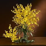Dancing LadyシルクOrchid Flower ( 6 stems )
