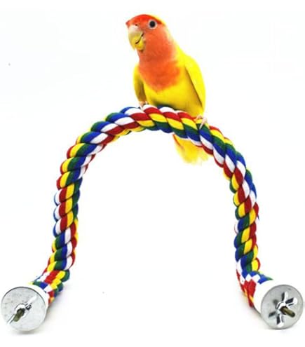 【kana】ローパーチ、止まり木セット Amazon | 止まり木 ロープパーチ 【2本セット】 24.5CM/41.5CM