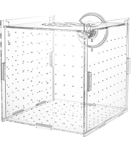 Amazon.co.jp: ZooooM 熱帯魚 隔離 BOX ボックス 穴あき ネジ 固定