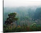 GREAT BIGキャンバスギャラリー‐の高角度Canyon床からRiverbottom Overlook、Little Grand Canyon、Shawnee National Forest , 