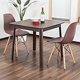 イームズダイニング3点セット 2人用 体に馴染むイームズチェア(木脚 DSW) デザイナーズ(チャールズ・レイ・イームズ) 落ち着きあるブラウンテーブル 縦横80cm お洒落な食卓セット (ブラウン色)