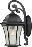 Elk 45051/1 9 by 17-Inch Wellington Park 1-Light Outdoor Wall Sconce with Seedy Glass Shade, Weather