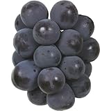 国華園　果樹苗　ブドウ　ピオーネ　1株