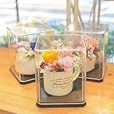 [florence du]プリザーブドフラワー 店長おまかせプチアレンジメントギフト クリアケース 付 誕生日 結婚祝い 結婚記念日 プレゼント 贈り物