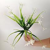 meiliy 1 Bunch FakeフローラルOrchidプラスチック花高品質人工花ホームホテルオフィス結婚式パーティー庭クラフトアート装飾15.5インチ Meiliy-ML-007w