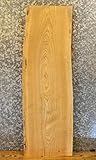 ナチュラルエッジAsh Woodスラブコーヒー/ソファー/アクセントテーブルトップ/ベンチシート4753 T : 2 1 / 4」、W : 16 1 / 4」、L : 48 3 / 8 " – 475
