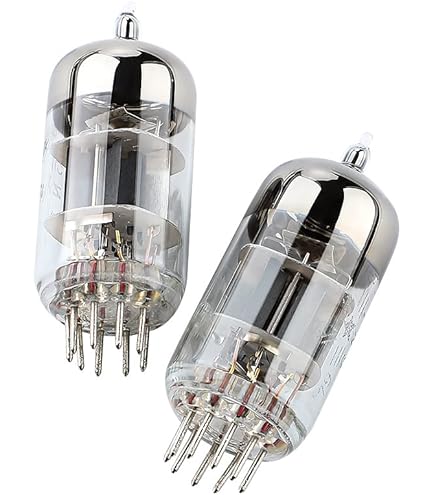 Amazon.co.jp: JINGERL チューブアンプのための真空管845 Shuguang UV