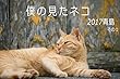 僕の見たネコ　2017青島　その1