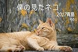僕の見たネコ　2017青島　その1