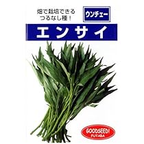 51ppLKx62JL._AC_UL210_SR210,