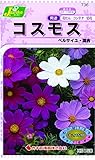 カネコ種苗 草花タネ736 コスモス ベルサイユ 混合 10袋セット