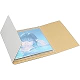 アースダンボール ダンボール LPレコード用 10枚セット PP袋付 白 段ボール 80 ID0044 [受注生産]
