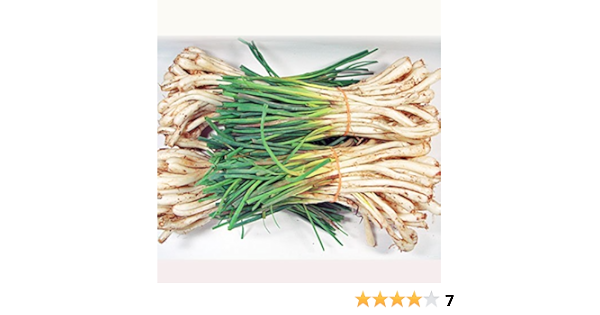 Amazon 島らっきょう 約2kg 野菜 主に伊江島産で沖縄本島南部産も 12月から葉青々の新芽の島ラッキョウ ちゅら市場 らっきょう 通販