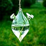 SHINA 2個セット 菱形 ハンギング ガラス 花瓶 水栽培ポット 観葉植物 水耕栽培植物 ホームデコレーション