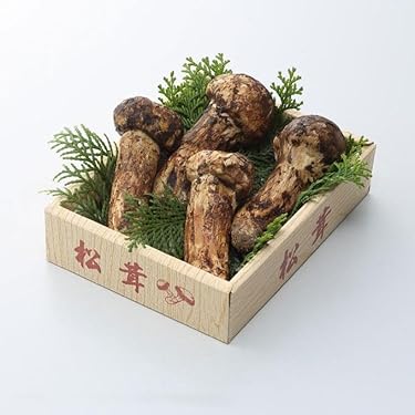 【大人気‼︎ 厳選180g】 本日採れ‼︎ 極上 国産 松茸◆クール便発送◆ 国産松茸（開き）400g前後（1本から3本前後）送料無料 クール便