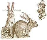 Material�`limited edition�`