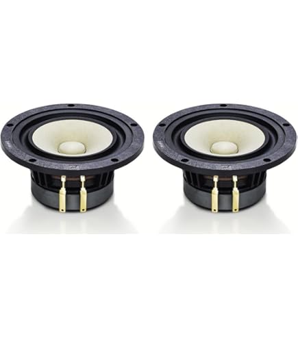 Amazon.co.jp: PARC Audio ウッドコーンスピーカー 13cm DCU-F131W