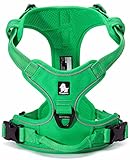 cocomall 犬用ハーネス 犬用胴輪 ドッグ ペット用品 ハーネス 3M反射材料 訓練 ナイロン製 小型犬、中型犬、大型犬に向け 通気性 調節可能 (S, グリーン)