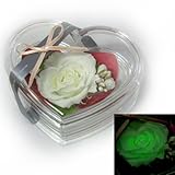 暗闇で光るバラ　プリザーブドアレンジ　[ルミハート]