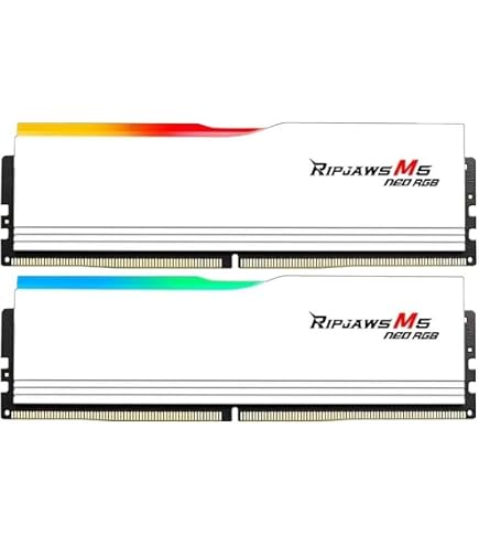 Biwin DW100 32GB (2x16GB) 6000MHz CL30 RGB LED White DDR5 Desktop