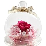 TEATSIGHT プリザーブドフラワー フラワーアレンジ ラッピング済み ガラスポット入り バラ 5輪 （ピンク）