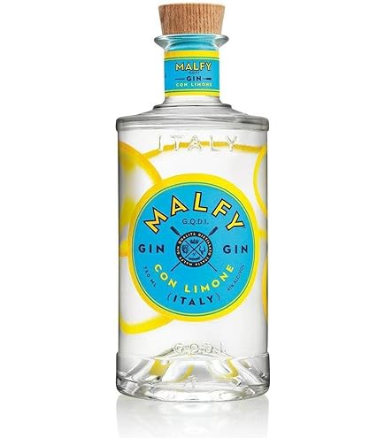 Amazon.co.jp: ENGINE エンジン オーガニックジン 缶 750ml : 食品