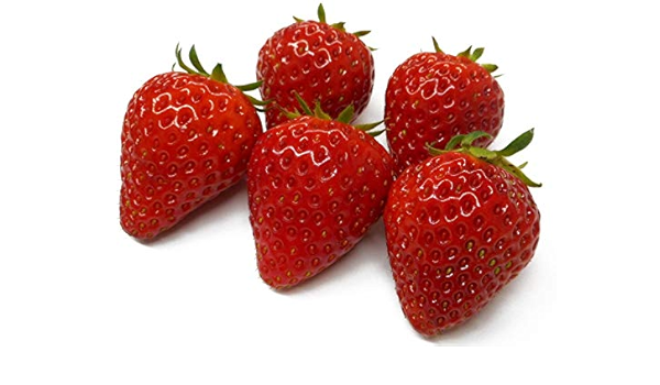 Amazon 種子繁殖型イチゴ よつぼし 9cmポット苗 いちご 鉢