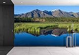 wall26 粘着式 大型壁の壁画シリーズ 壁紙  100"x144" WMR-WP-X-C442-100x24x6