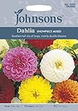JOFL 英国ジョンソンシード Dahlia Showpiece Mixed　ダリア・ショーピース・ミックス