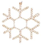 American Lighting LED-WW-HSM-SNOWF18 Snowflake Holiday Rope Light Motif, 18-Inch [並行輸入品]