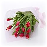 西脇農園 チューリップ 花束「赤系10本」 レッド系 日比谷花壇