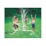 SW Express Geyser Blast Sprinkler (Discontinued by manufacturer) [並行輸入品]