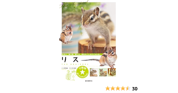 リス 住まい 食べ物 接し方 病気のことがすぐわかる 小動物 飼い方上手になれる 大野 瑞絵 俊彦 井川 本 通販 Amazon リス 住まい 食べ物 接し方 病気のことがすぐわかる 小動物 飼い方上手になれる 大野 瑞絵 俊彦 井川 本 通販 Amazon