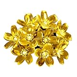 Innoo Tech Outdoor Solar String Lights 21ft 50 Led Blossom Flower Fairy Light for Garden Patio Weddi