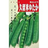 実取エンドウ 種 【 久留米ゆたか 】 種子 小袋（約100ml）