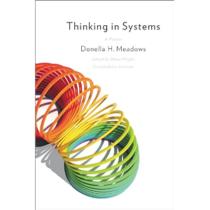 Thinking in Systems: International Bestseller (English Editi…