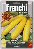 【FRANCHI社種子】【146/45】ズッキーニgold rush Hy F.1