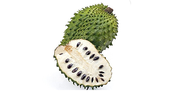 Amazon Co Jp フルーツの種子graviolaトゲバンレイシguanabanaバンレイシmuricata熱帯種 の1pcs ロット Diy 工具 ガーデン