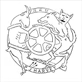 The Wheel [7 inch Analog]